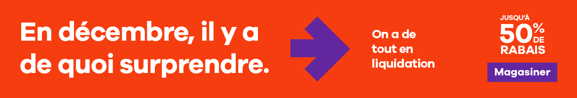 https://www.brassardburo.com/files/galleries/static-banner-fr/monthlypromo_1225_fr.jpg