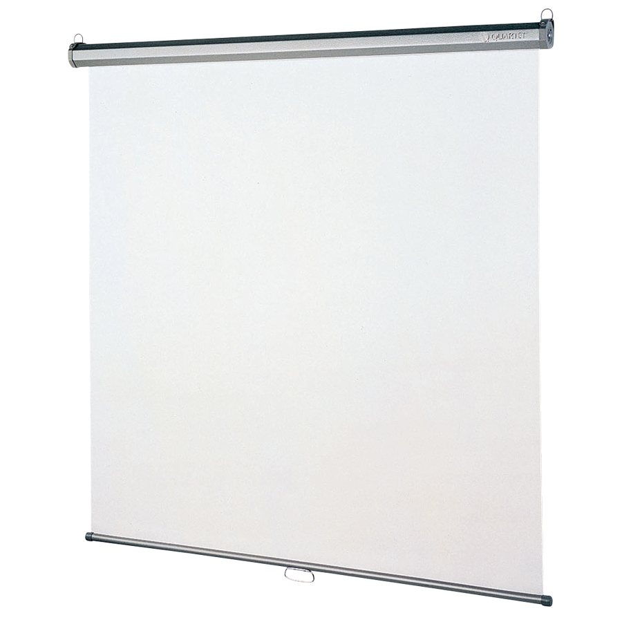 Wall or Ceiling Projection Screen