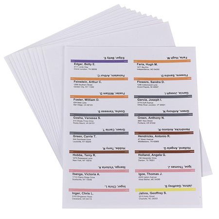 Viewables® Premium 3D Hanging Folder Labels Kit